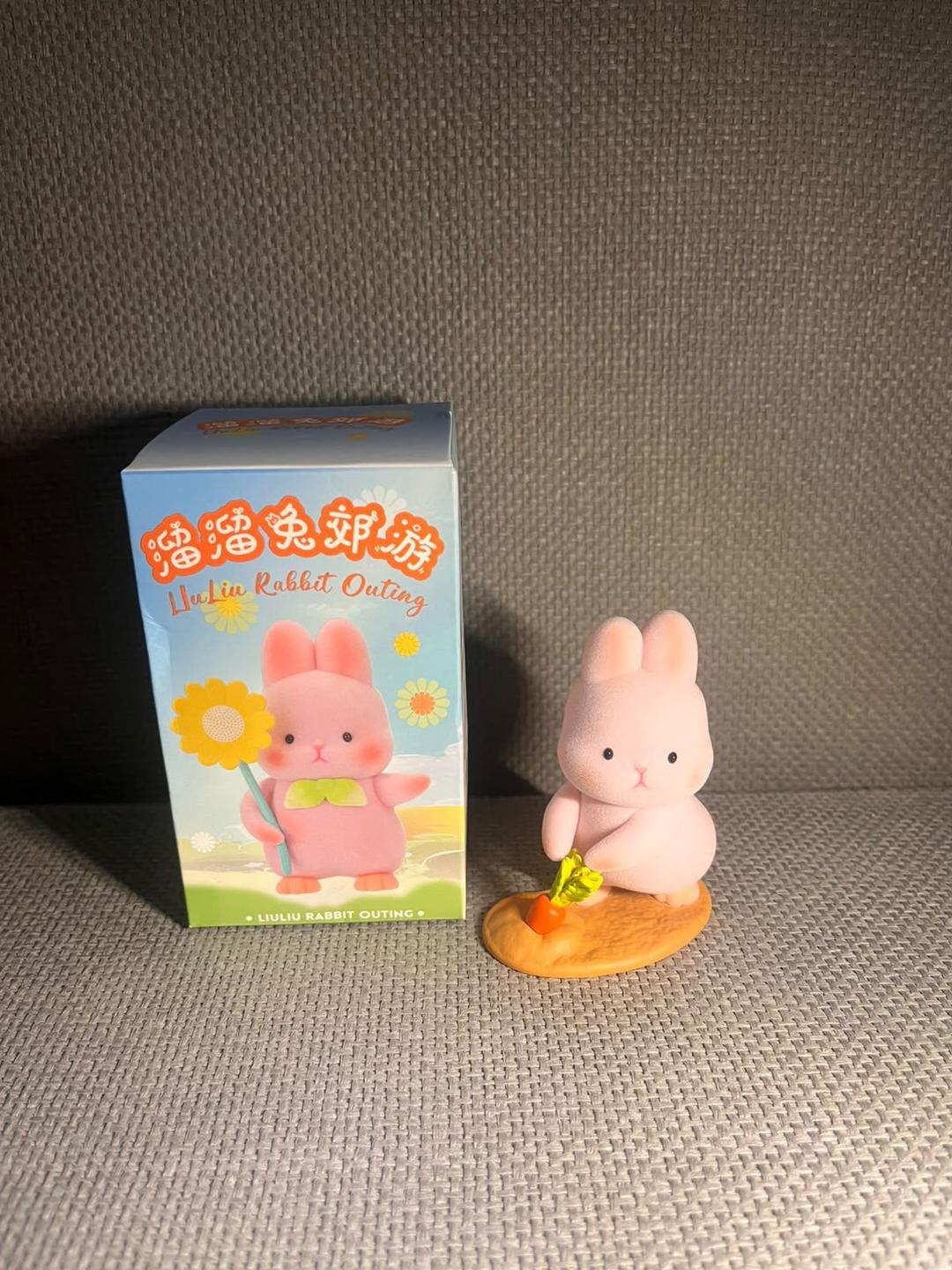 Unboxeng rabbit 馃惏 (photo 1 of 4)